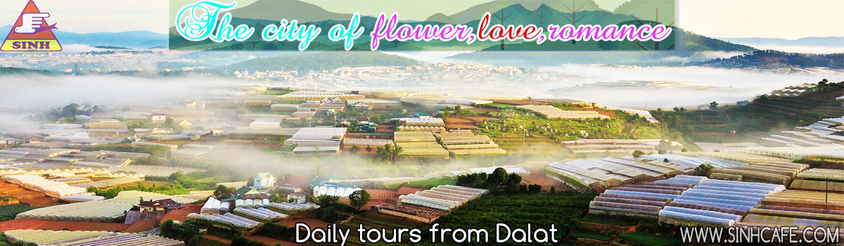 daily tours from dalat 1200x350
