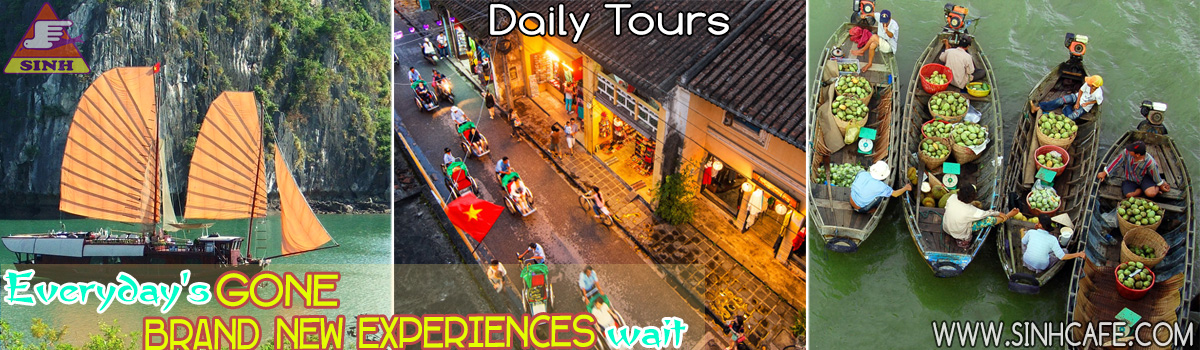 Daily Tours 1200x350